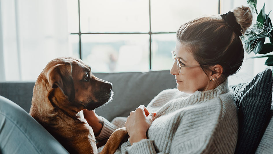 Are Air Purifiers Worth the Cost?