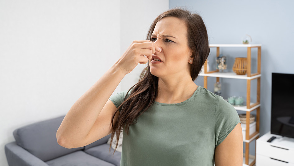 Six Common Air Conditioner Smells Answered and How to Fix the Issue